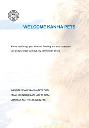 Puppies available for sale at kanha pet shop