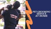 Dog Grooming Hyderabad - ThePetNest 